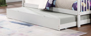Bunk Bed-B 121