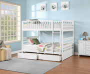 Bunk Bed-B 115